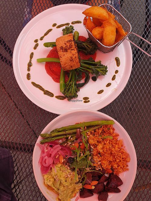 Mushroom Wellington £17.50 and Morocco buddha bowl £8 at Sgwd Gwladys in Neath