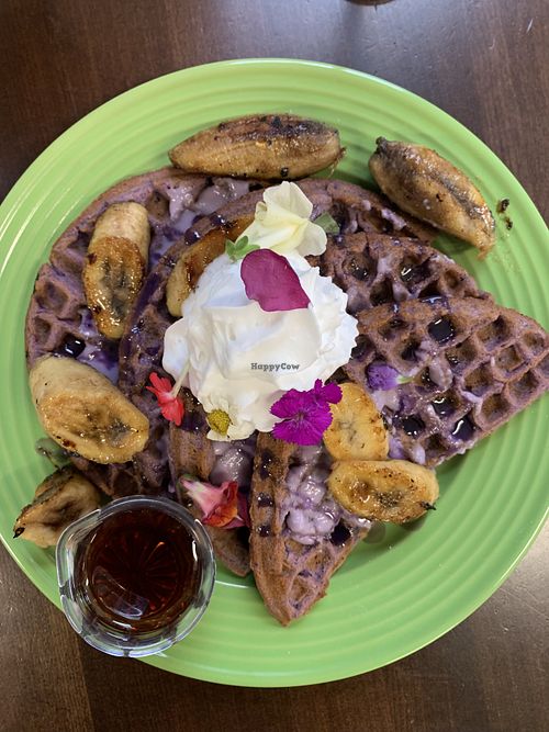 Ube mochi waffles…AUH-MAZ-ING!!!  at The Paisley Cafe in Orangevale