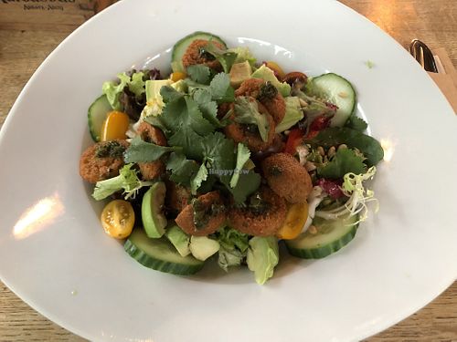 Falafel salad  at Moeder De Gans in Voeren