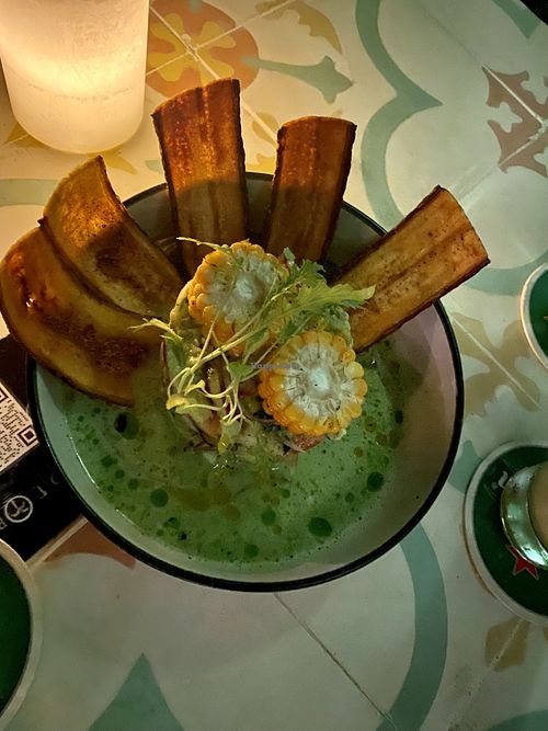 Vegan ceviche  at The RED DOOR in Tamarindo