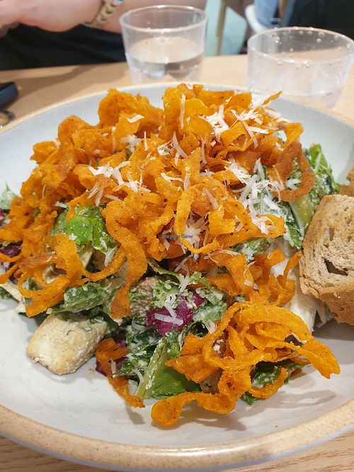 Image of Plant Cafe & Kitchen - Yeonnam dong