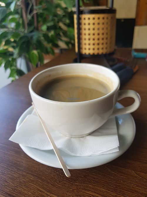 Great coffee at Scott and Wilson in North Shields