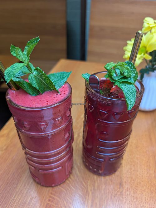 Drinks at Sen Lüneburg in Lueneburg