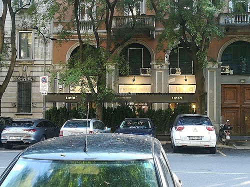 Linfa at Linfa in Milan