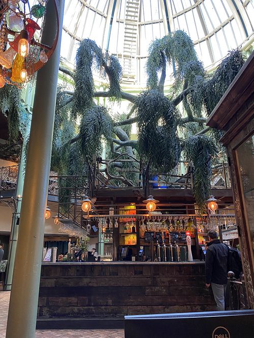 Interior   at The Botanist in Newcastle Upon Tyne