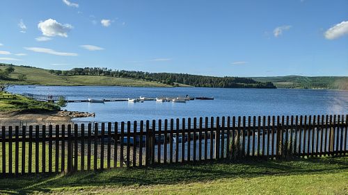 View from The Oasis restaurant at The Forest Kitchen & Bar  in Kielder
