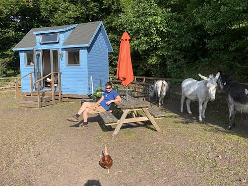 The Hut at The Hut at Tribe Animals Sanctuary in Braidwood