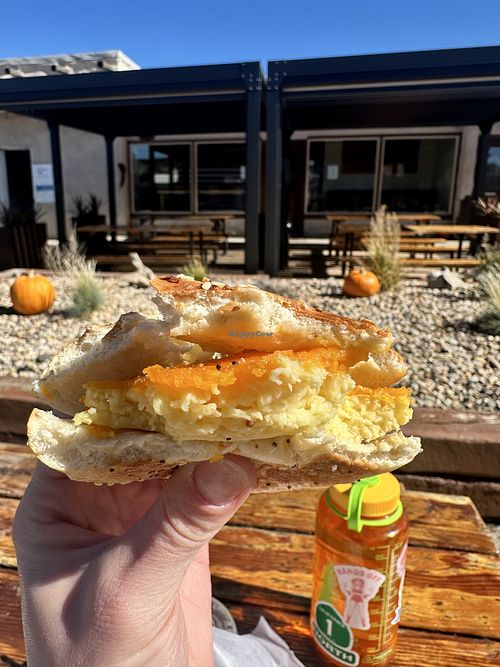 Just Egg and vegan cheese on an everything  bagel!   at Sevier Coffee Co in Hatch
