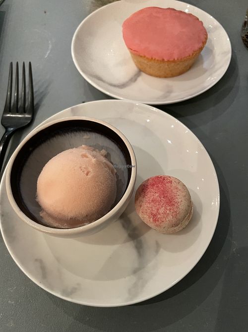 Roze koek en Bloedsinaasappel ijs at Rozey in Delft