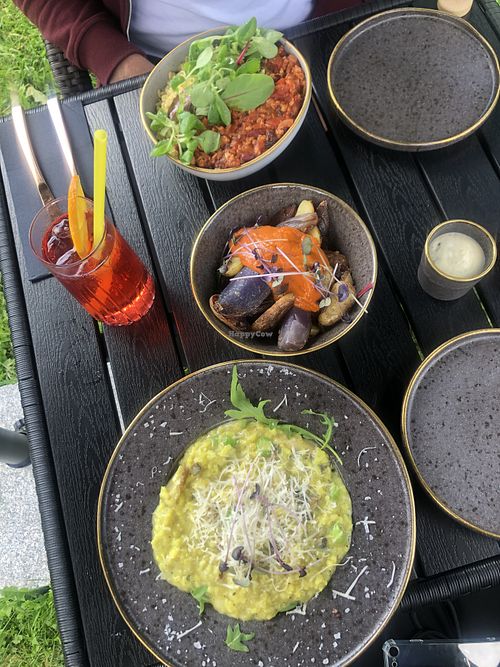 risotto, patatas bravas, chilli no carne at Villa Maria in Viljandi