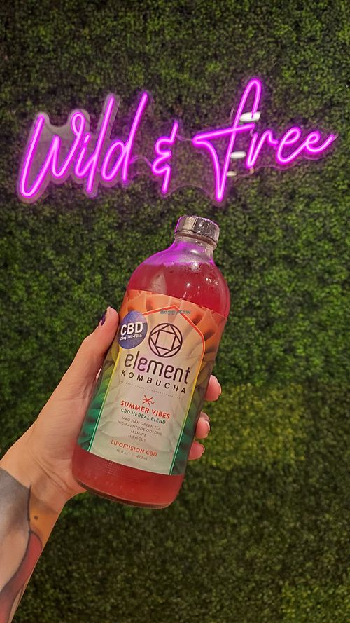 Cute decor! at Plantology - Cloud Kitchen - Maybe closed in San Antonio