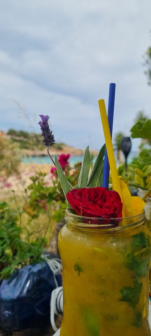  at Organic in Mallorca