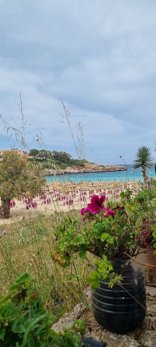  at Organic in Mallorca