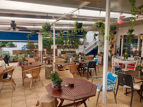 Inside at Organic in Mallorca