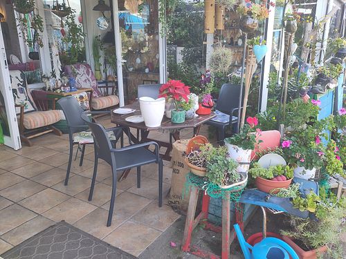 Patio seating at Organic in Mallorca