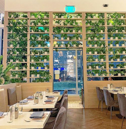 All real plants. Watered daily   #Veganuary at Liora in Baltimore