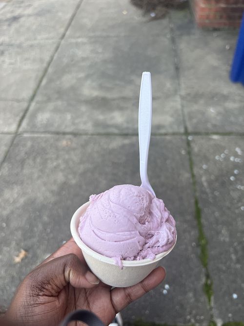 Vegan Black Raspberry  at B'more Licks in Baltimore