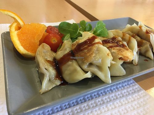 Goyza at Vida Verde in Lisbon