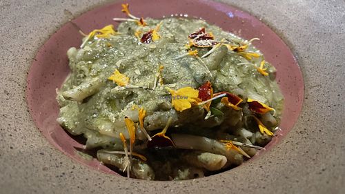   at Camelia Ododo in Sao Paulo