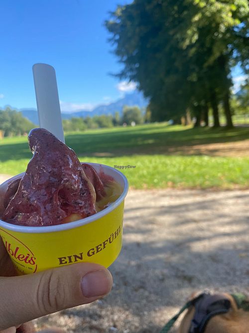 mango and forest fruits at Cafe Übleis in Mondsee