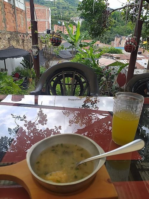 Banana soup with a view of the very banana plant that the ingredients came from at Munay in Villeta