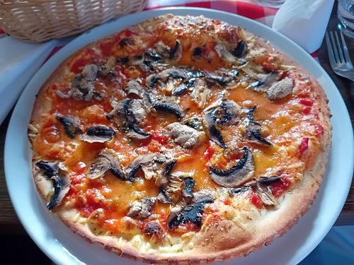 Pizza funghi with vegan cheese at Jagsttalschenke in Ellwangen