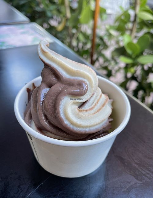 Swirl soft serve (soy based)  at SoBe Vegan in Miami Beach