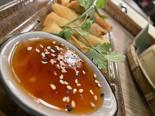 spring rolls at Pho 45 in Erfurt