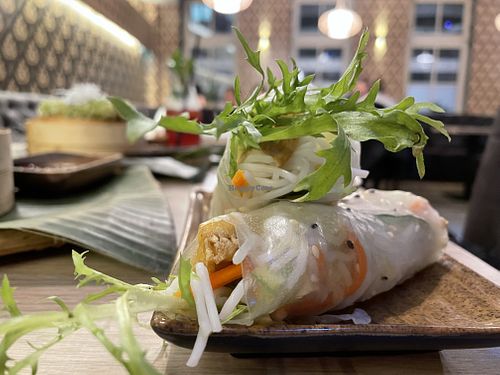 summer rolls at Pho 45 in Erfurt