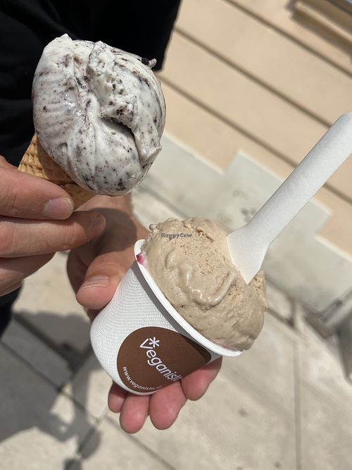 cookie and hazelnutt  at Veganista Ice Cream XI in Vienna