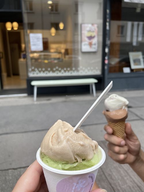   at Veganista Ice Cream XII in Vienna