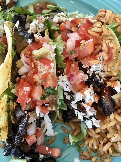 Portobello tacos with vegan cheese  at Mother's Cantina - 78th in Ocean City