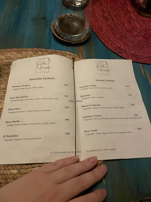 Cocktails  at El Armadillo Mazunte in Mazunte