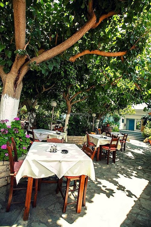 Our beautiful garden at Taverna Garden  in Crete