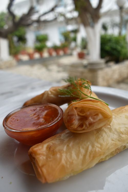 Vegan flogeres-Crispy filo pastry rolls filled with vegetables and vegan cheese, served with tomato and pineapple chutney (vegan) at Taverna Garden  in Crete