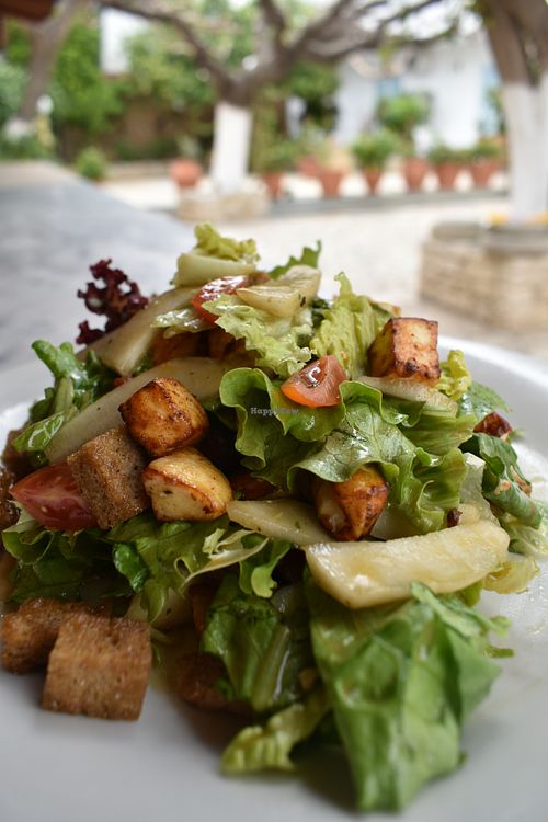 Julia salad-Mixed salad leaves, tomato, fried manouri cheese, pear and petimezi (grape syrup) (vegetarian) at Taverna Garden  in Crete