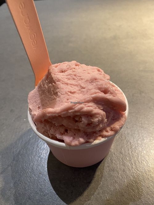 Rhubarb gelato (the only vegan flavor they offered)   at Henrys Bageri in Lidkoeping