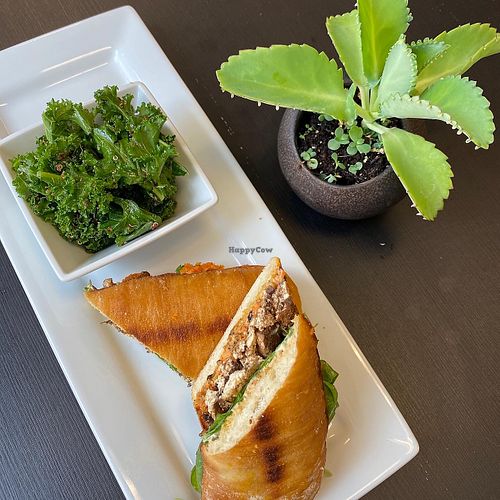 Bahn mi sandwich with kale salad at The Vegetable Hunter in Carlisle