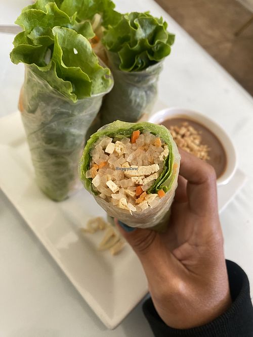 Yummy Summer Rolls - LOVE!!!  at Loving Hut in Elk Grove
