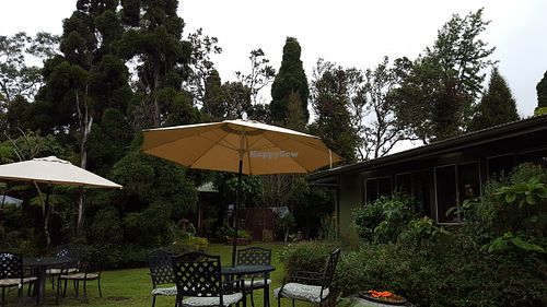 Outside area near seating at Cafe Ono in Volcano