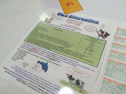 - at Loving Hut in Panama City