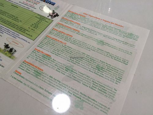 menu  at Loving Hut in Panama City