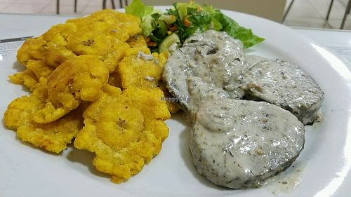 potatoes with bechimel sauce and plantains at Loving Hut in Panama City