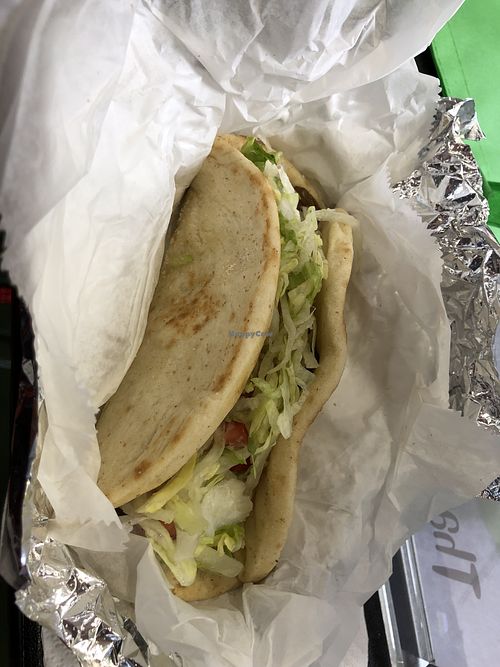 The Grass Fed Gyro @ the WNY VegFest!  at GRASS fed in Rochester