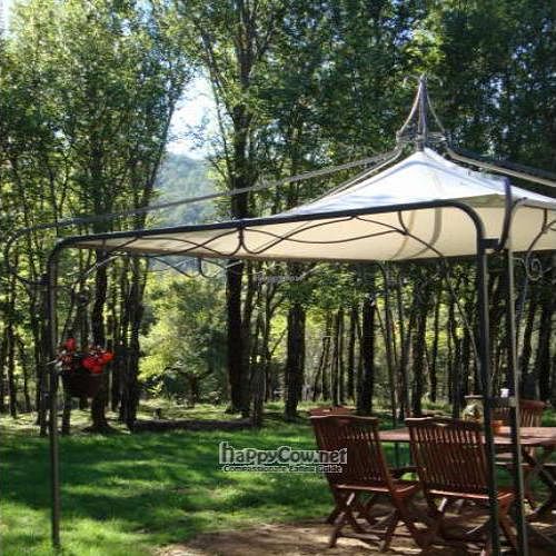  at Tenuta Savorgnano in Anghiari