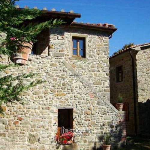 Tenuta Savorgnano - La Botteghina (the apartment house) at Tenuta Savorgnano in Anghiari