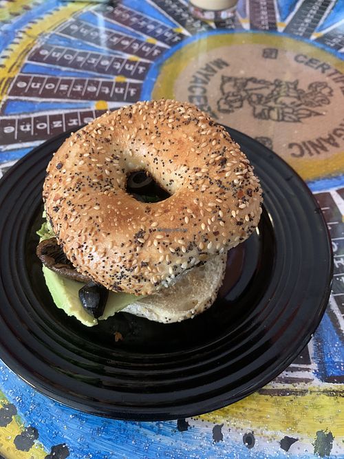   at Interzone in Corvallis