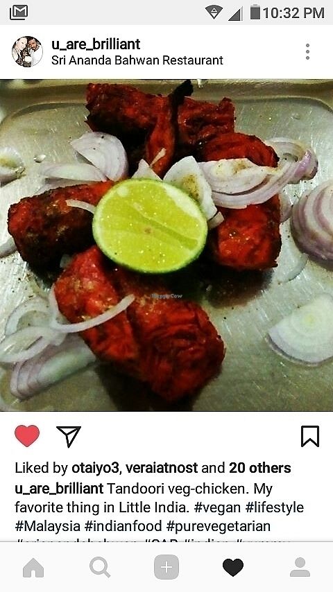 Tandoori at Sri Ananda Bahwan (Pure Vegetarian) - Georgetown in Penang