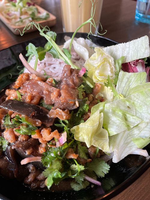 Main dish at Thai Vegan Kitchen in Helsinki