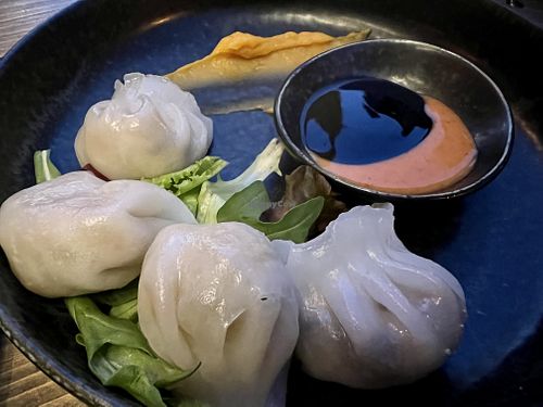 dumplings  at GAO Vegan in Leipzig